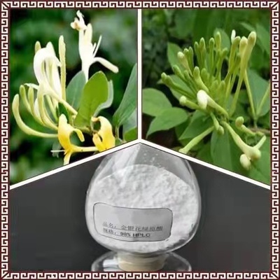 金银花提取物绿原酸（CASNO：327-97-9）